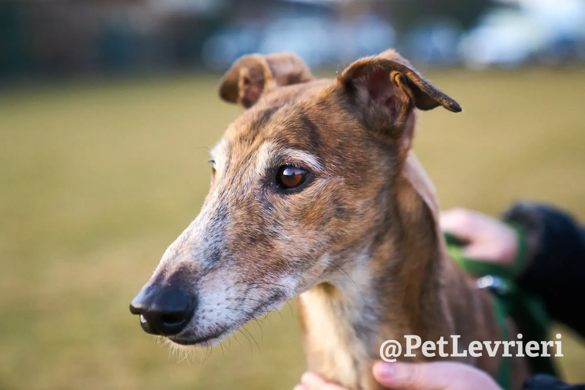 005D5298 D162 4B4A A369 E86A8CC8EBFD