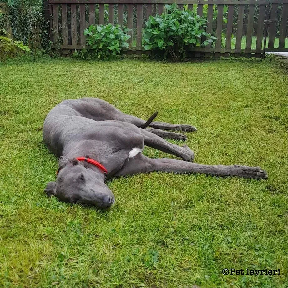 009160F8 665D 47BD A162 A49EA889628A