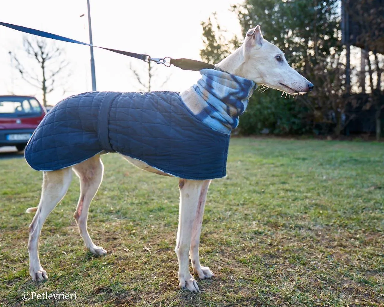 00B84B7E 9267 42E7 B839 037B017C3F47