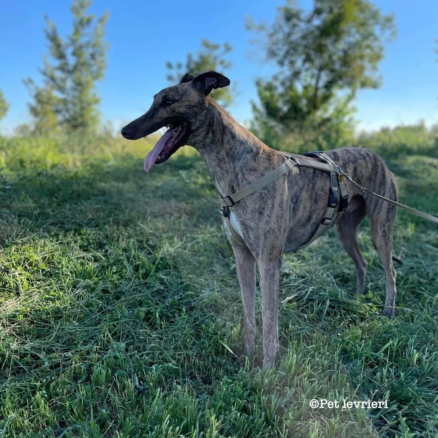 0108D505 04B4 406F 939C B3E98B83F192