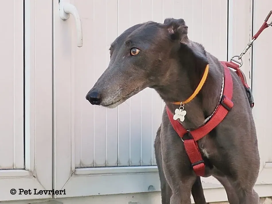 0130A04D 3934 421E 8B78 655B54E071BB