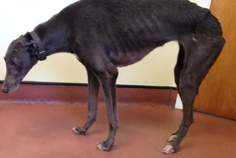 01 05214520 fc2d24 2628510a