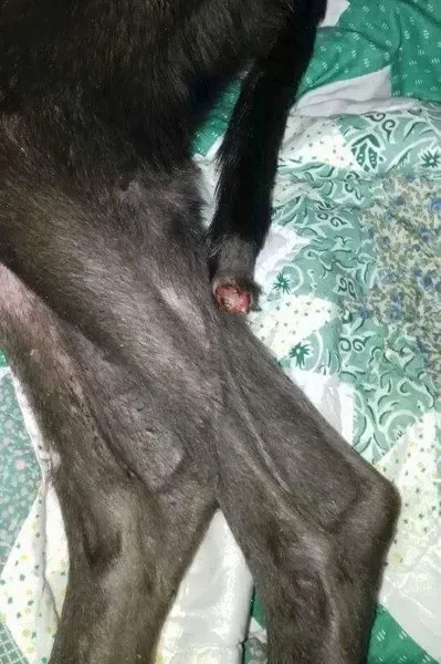 02 05214643 10373a 2628504a