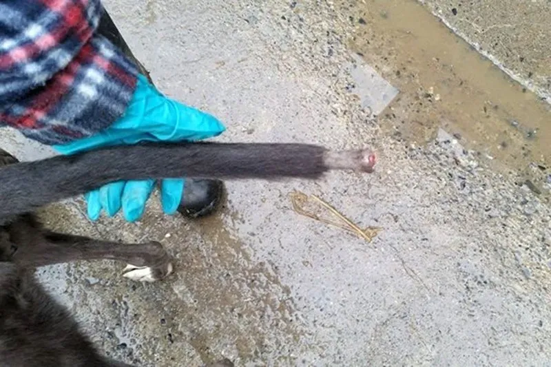 03 05214643 5452cc 2628505a