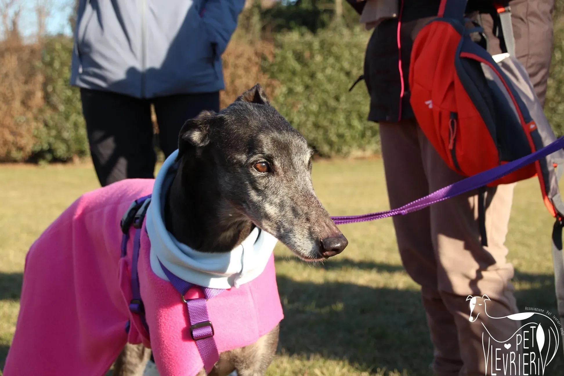 04052B4A 4214 49D9 9749 EA39CAAF15EF