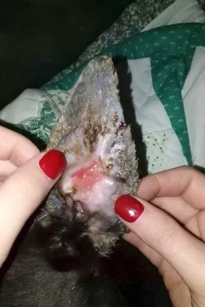 04 05214643 1ae296 2628506a