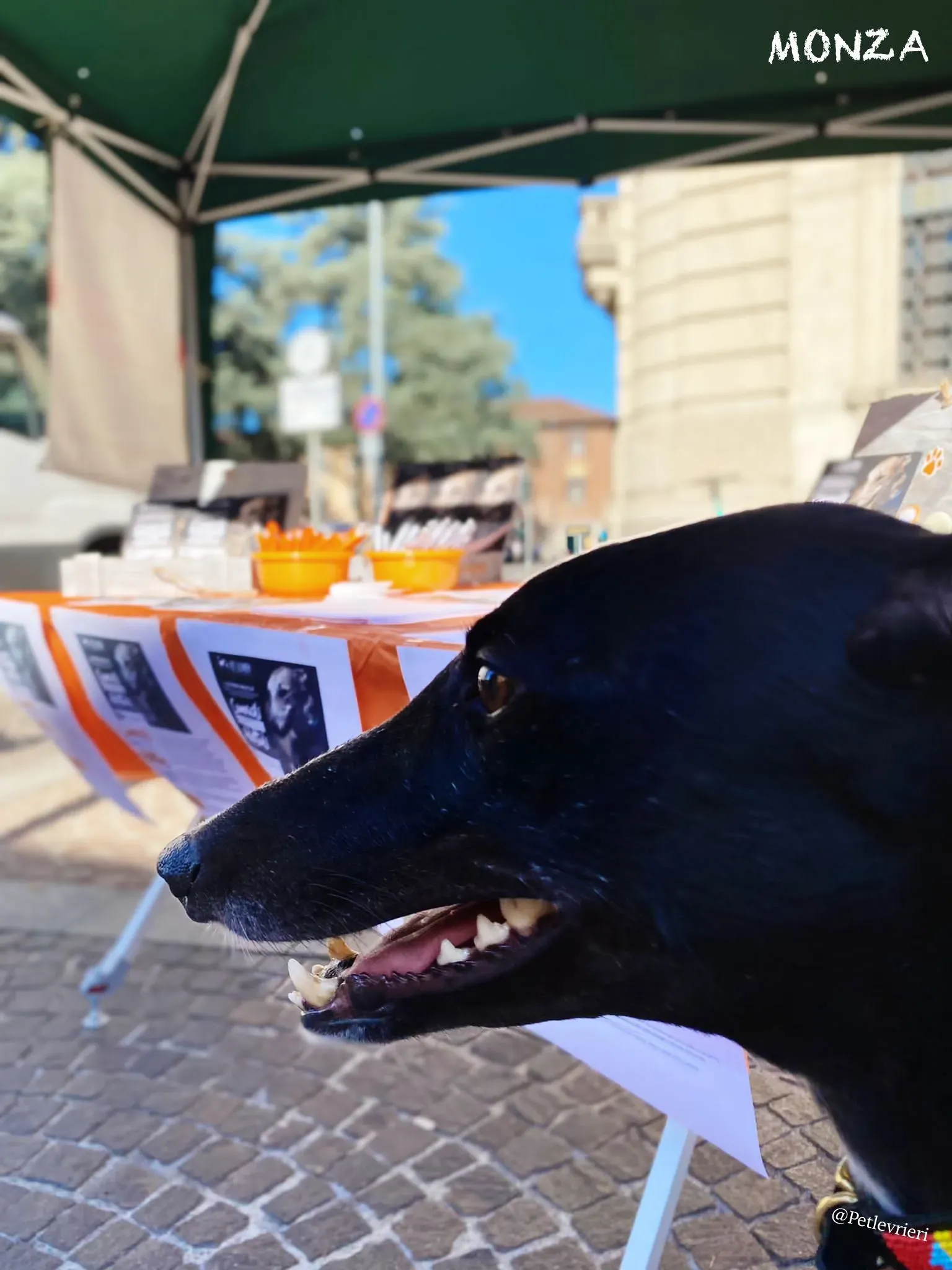 04da300b 3422 466d a11e 4cbda94e4b90 risultato