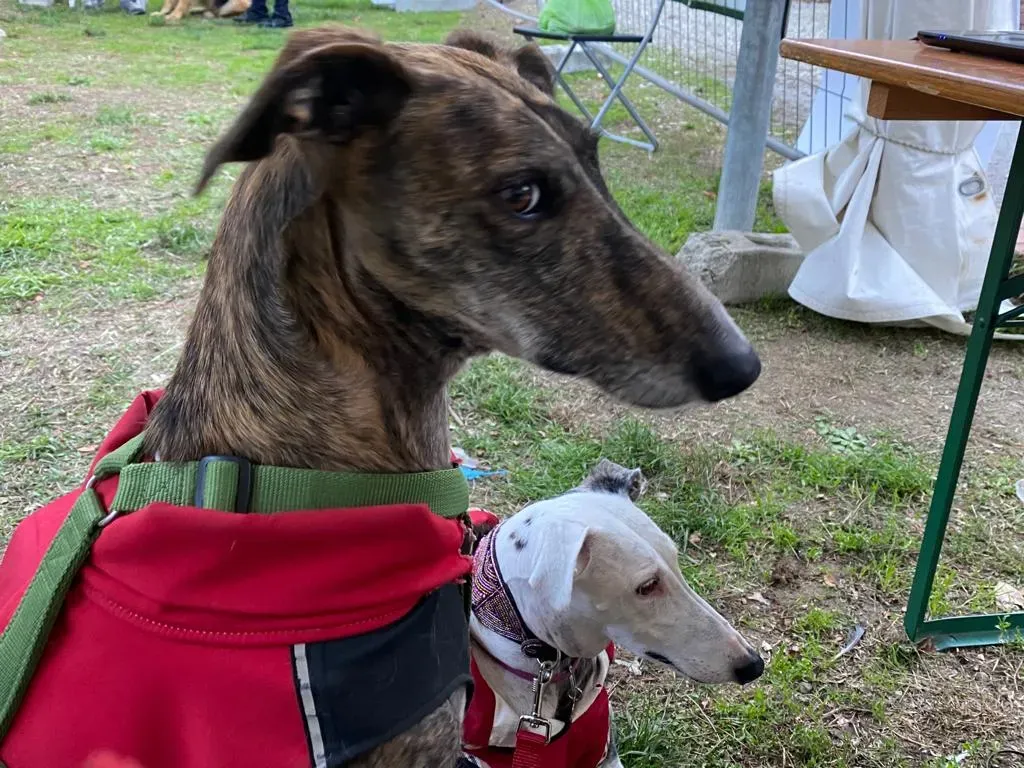 05380f61 ba24 4580 b01a f537d8d220b4