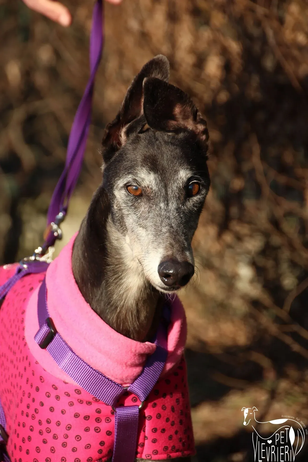 05F75D79 9F99 463B AA1D 5CBA99DA008B