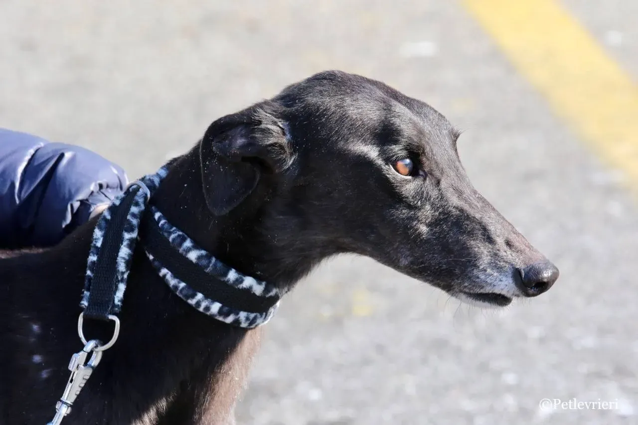 05FD8679 6457 45A0 8338 B07B0ADC1ED8