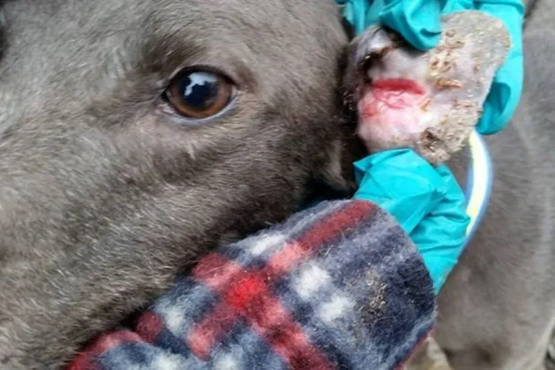 05 05214643 46deb7 2628507a