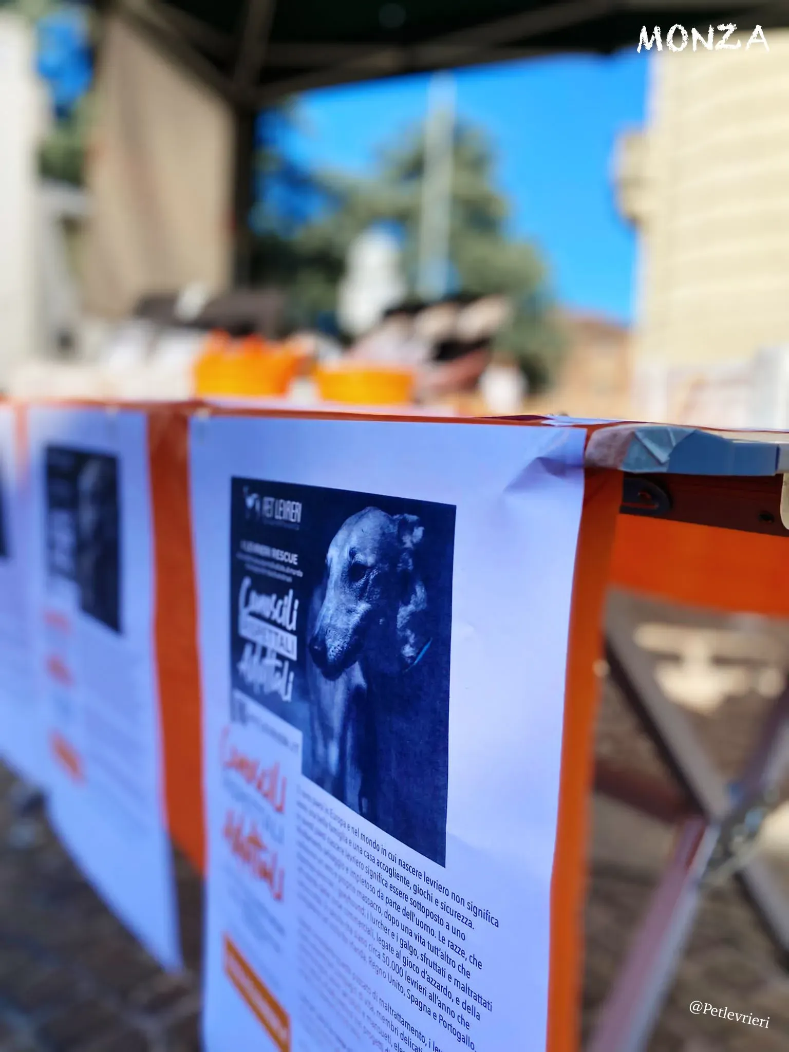 06337862 eaf8 4de3 884f 3f6fe635199e risultato