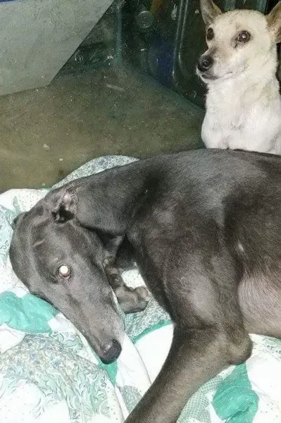 06 05214643 29bc00 2628508a