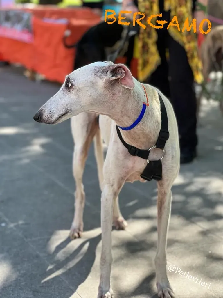 072b07e7 7767 4824 a2c1 79b9d7758502 risultato