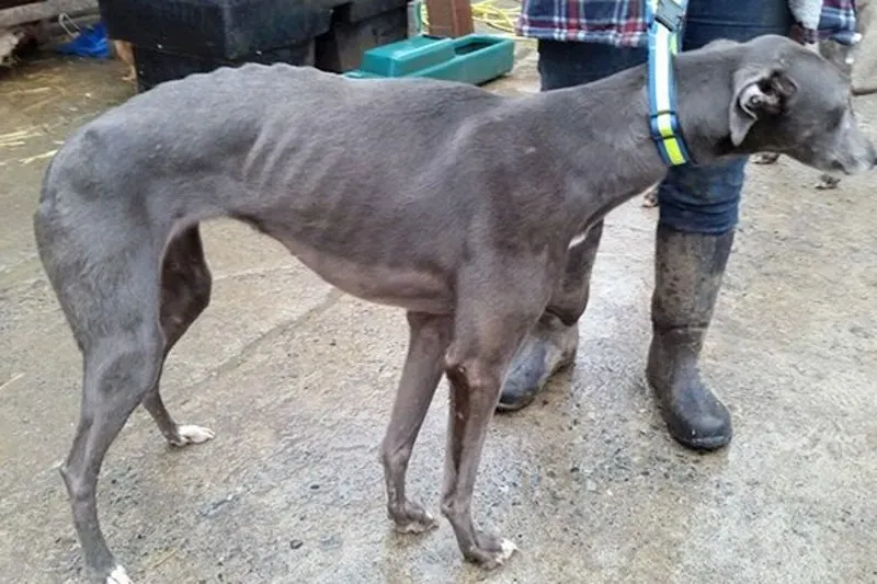 07 05214643 d180a1 2628509a