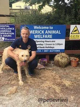 07 Philip Deerhound  Adozione Levrieri