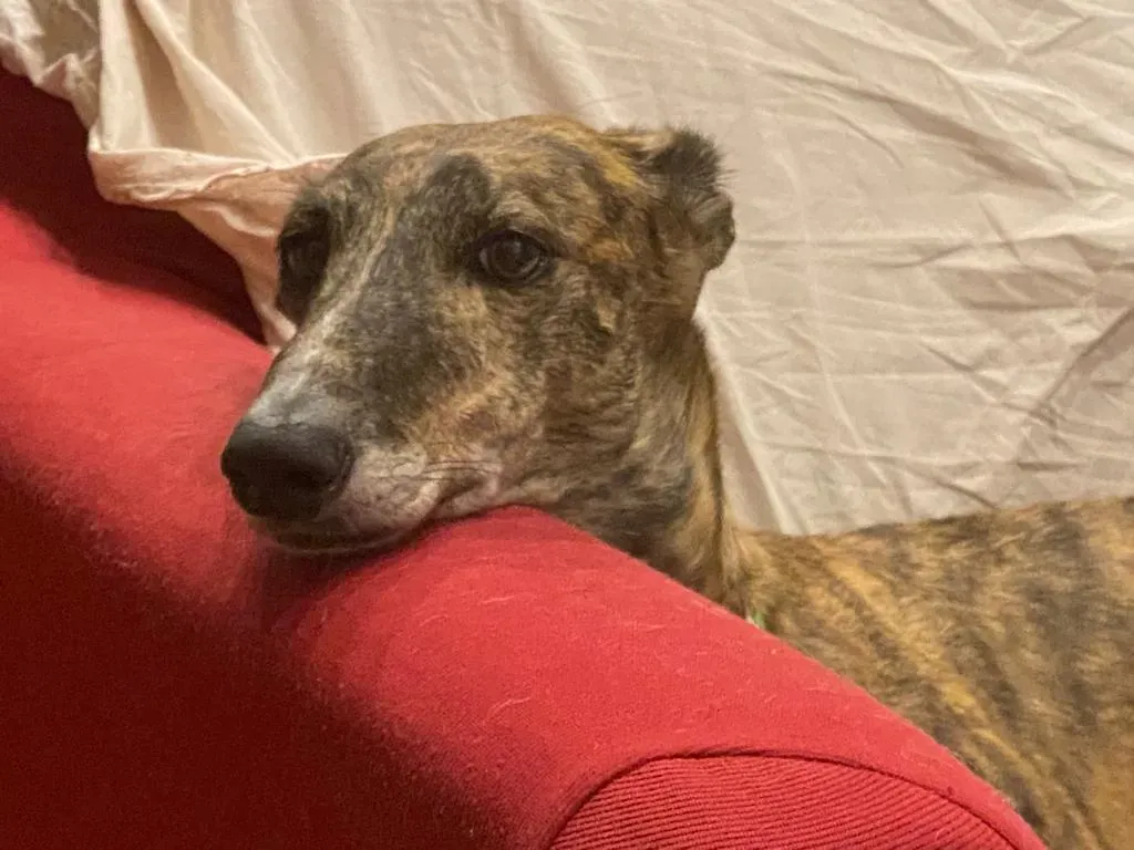 07fdadb0 b12c 47eb 9a14 1639382f589c