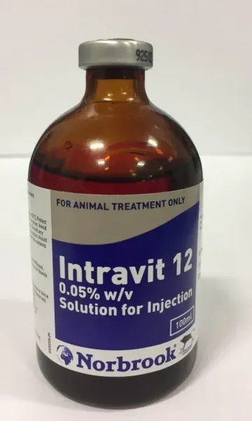 07mcasp greyhound doping 03.jpg 614x1024