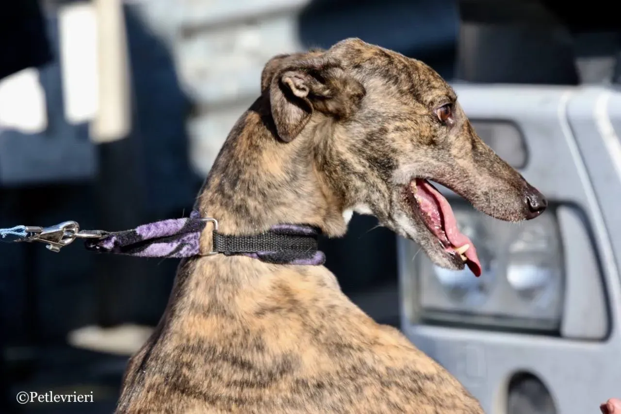 084419B2 AF99 4F00 92F9 0B02FD973502