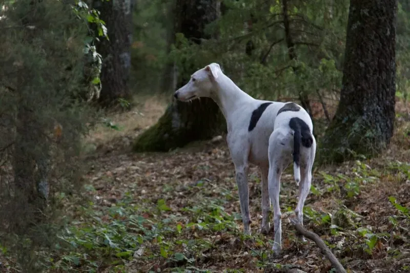 084a7471 scaled e1716839099232