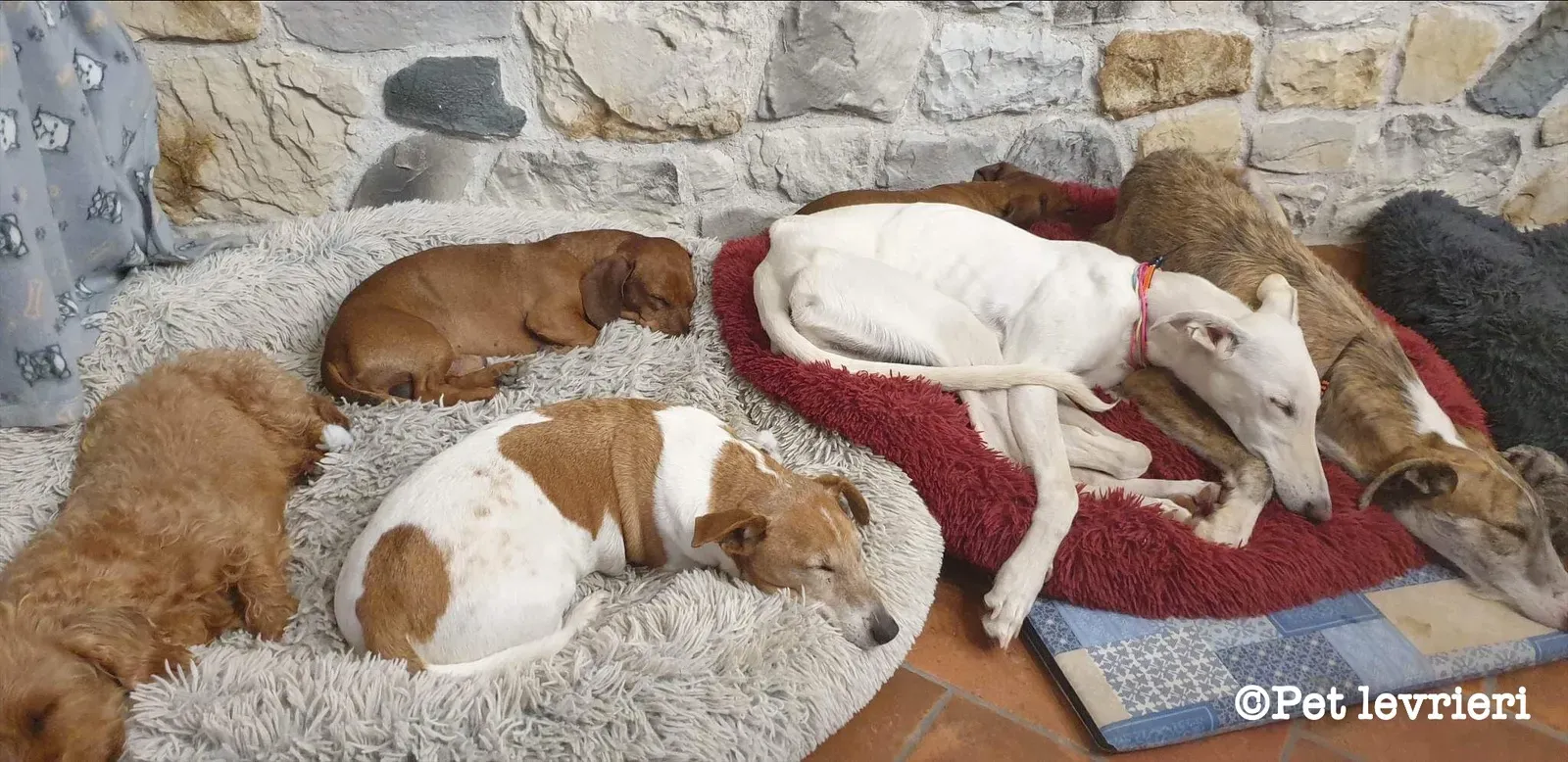 0C106D19 62A9 48DA B0C2 80BE86F3318C