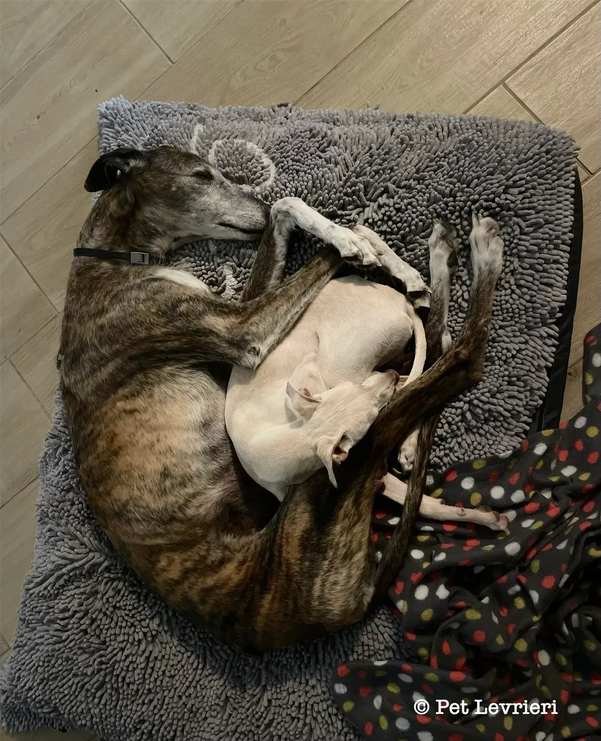 0DB74960 856F 4EB4 BC87 FC9CA83B204D