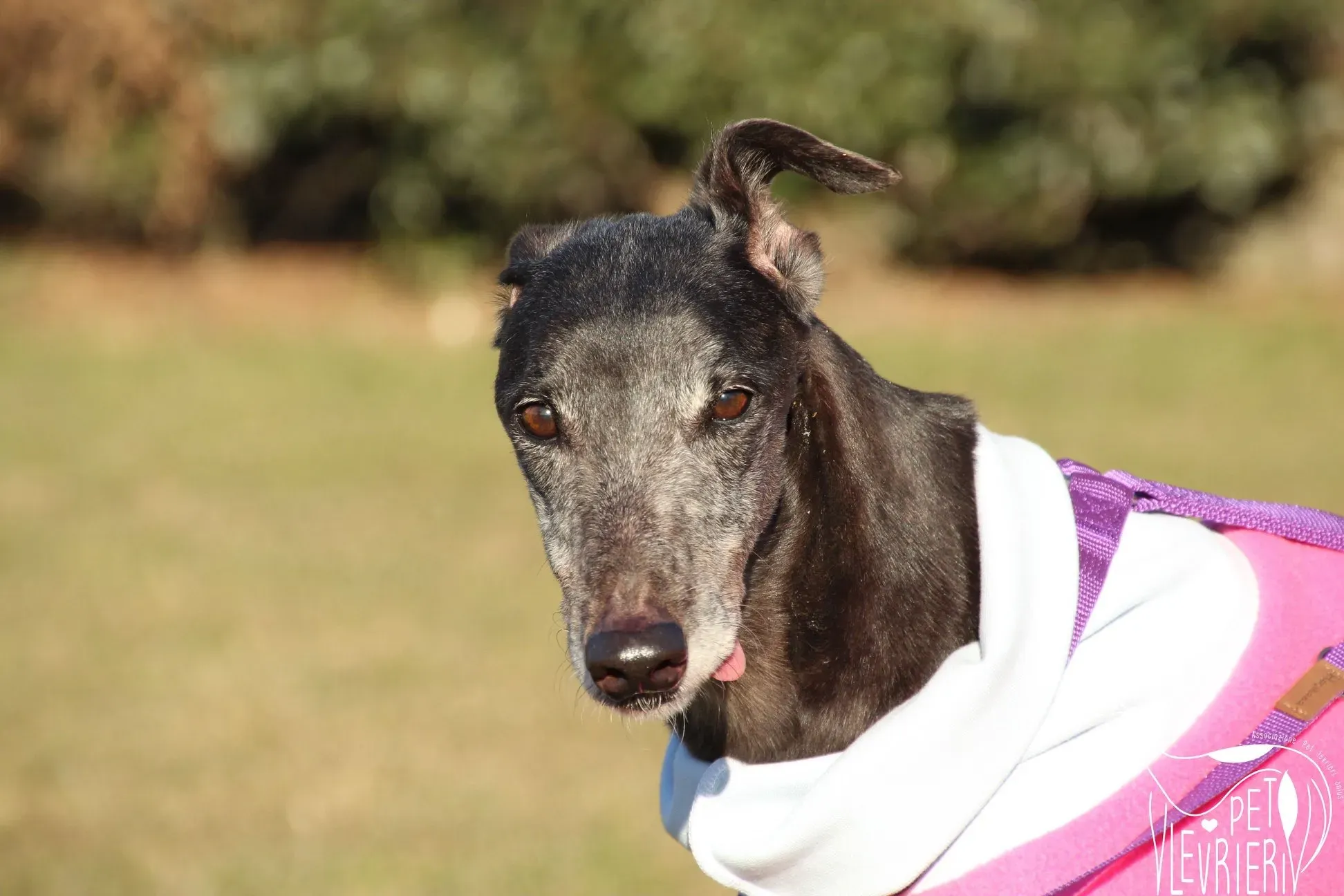 0E95B666 D8D0 4477 B0A8 AB24EAE417EA