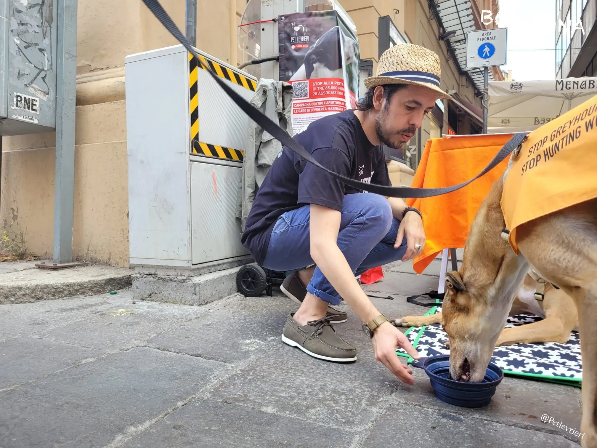 0bfcd8c6 bbcc 46db b6f0 4bb061d80d49 risultato