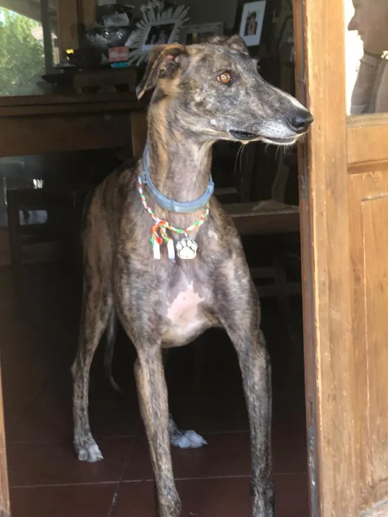 0e9a11d2 0a5e 4599 bdf1 918c034e6548