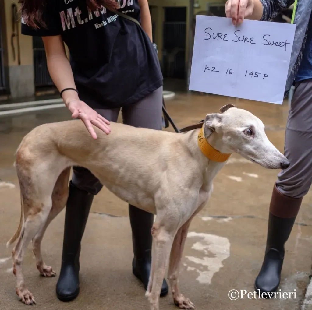 1 DSCF5540 1024x1018