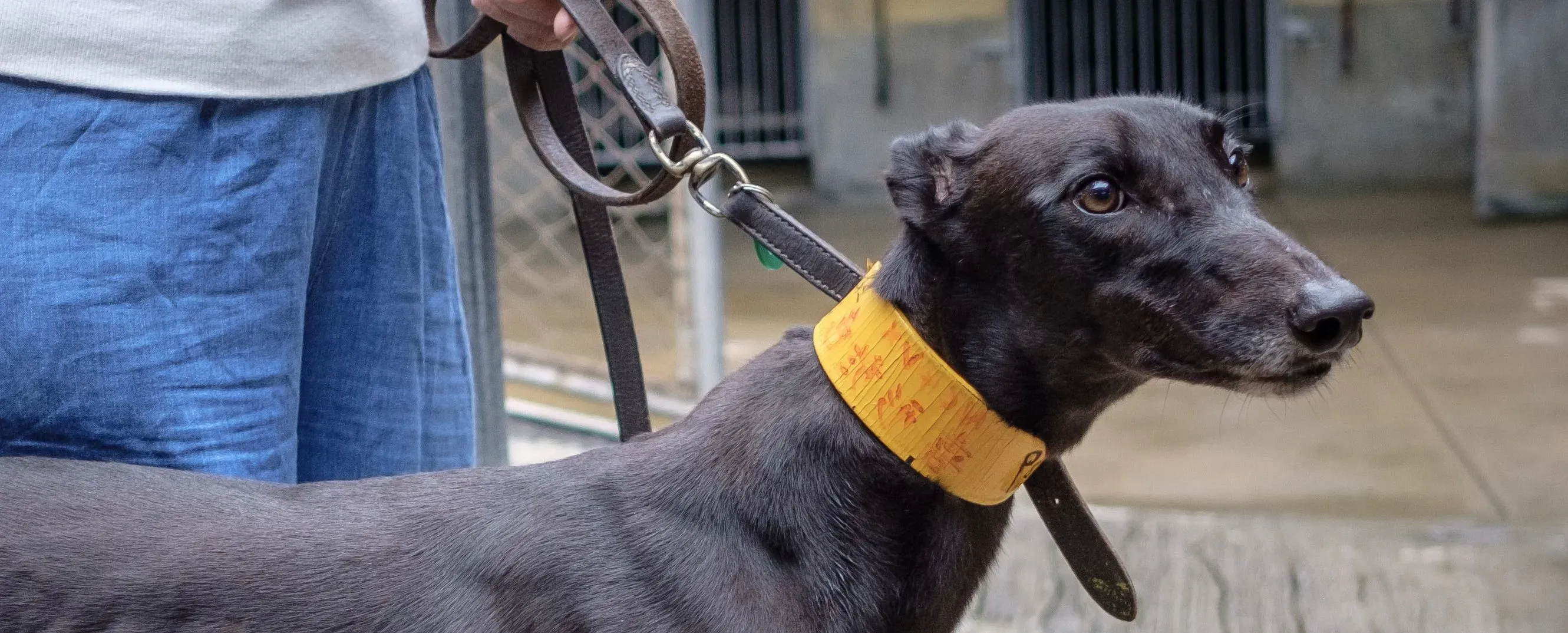 10 DSCF5450 e1544809558859