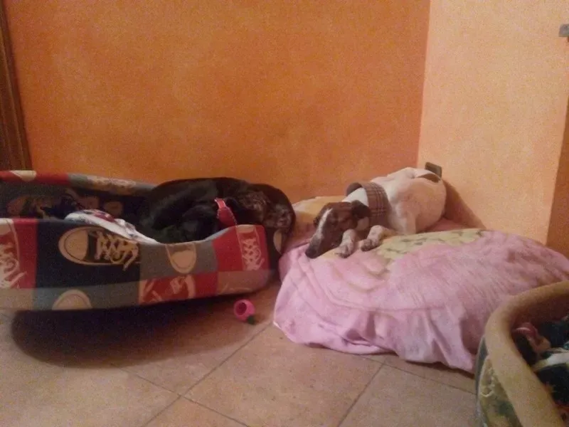 10001308 224523174409139 2062915006 n