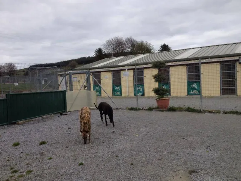 10001309 770573179627050 3586525779561143810 n