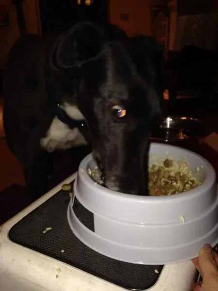 10001362 759016394116417 553641273 n