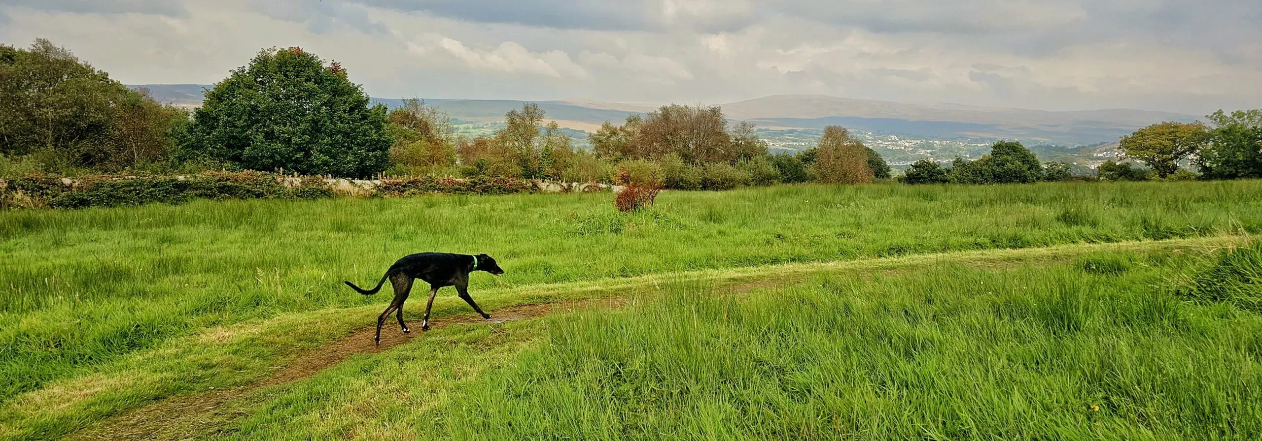 1000173053 1 scaled e1734344257776