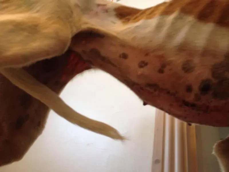 10002958 1072395316111500 3561325370275027785 n