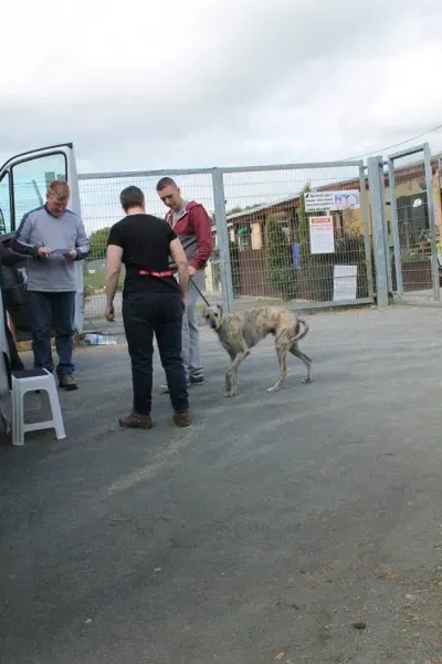 10002982 1014947018522997 7160095475790071081 n