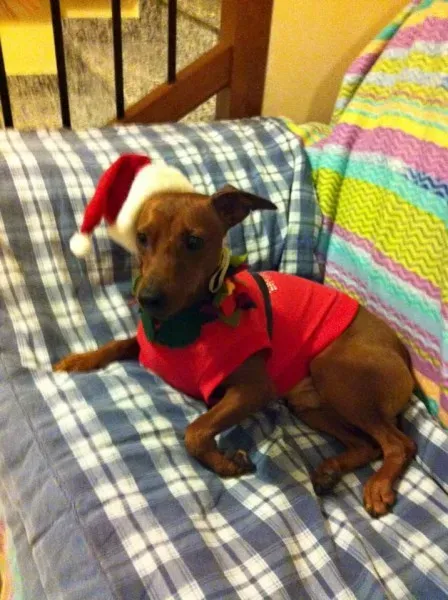 10004017 10205220216366963 1698813607901383204 n