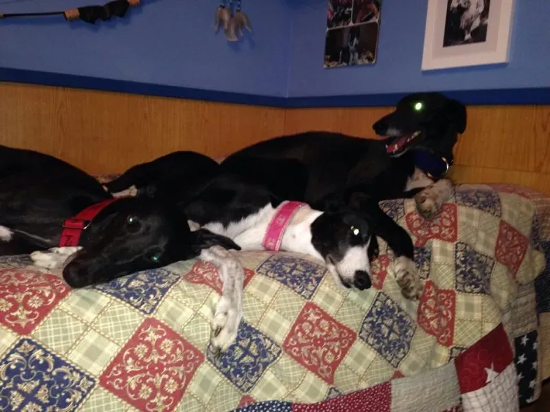 10004050 761253083892748 1206429443 n