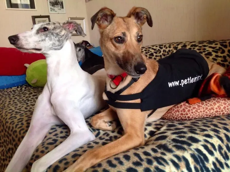 10006223 10202373039100057 154136672 n