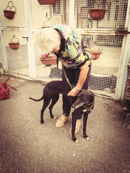 10006339 862724620412260 4669418092996073277 n