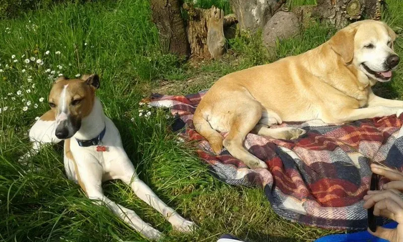 10006921 10202842861383931 300931074 n