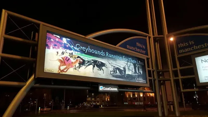 10006937 426595567535669 56968409974099394 n