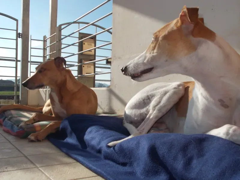 10007247 10202080945225397 5960604088116638688 o