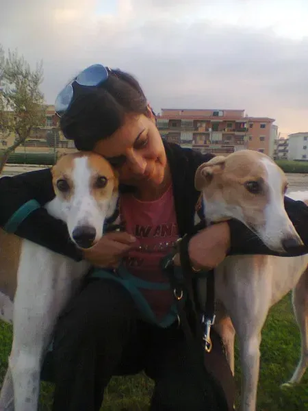 10007321 10201383670233958 7362256219583387411 o