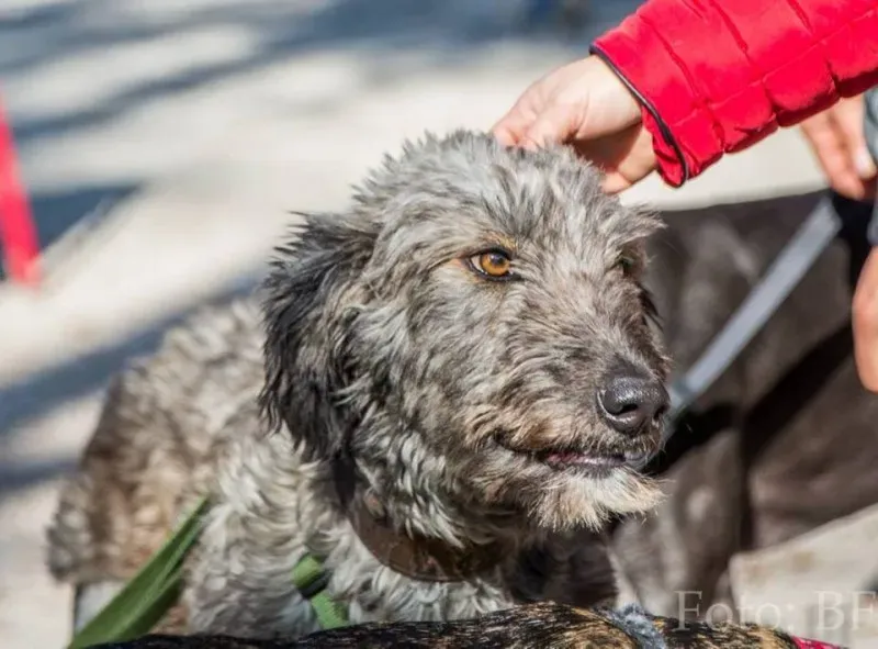 10007466 177496512590383 1266033825921635481 n1