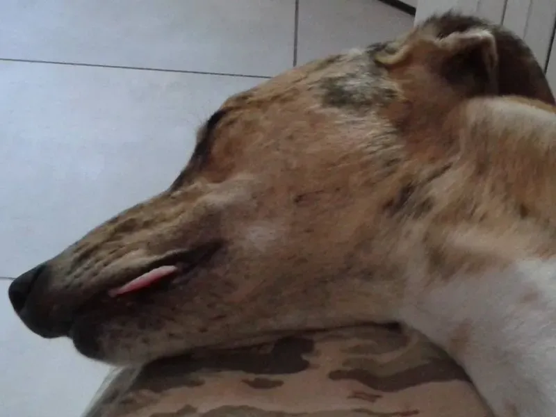 1000868 209484379412323 1081854595943313235 n