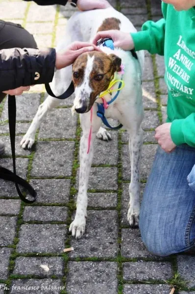 10009289 600992596651266 687194422 n