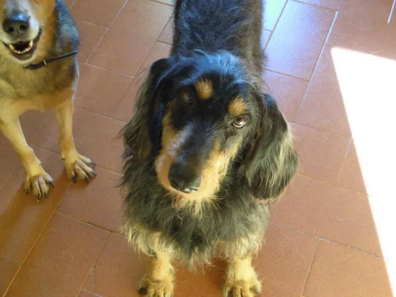 10009293 10202938645459559 4964671390364317729 n