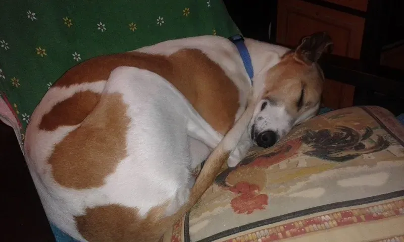 10009305 10202819156351320 1514109483 n